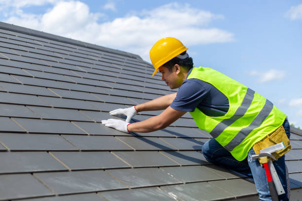 Best Roof Gutter Cleaning  in Urbana, IA