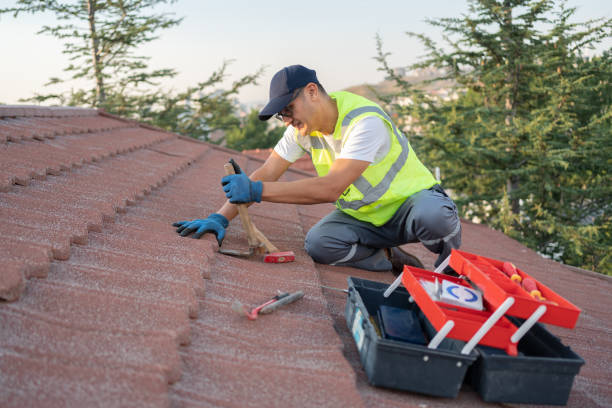 Best Roof Leak Repair  in Urbana, IA