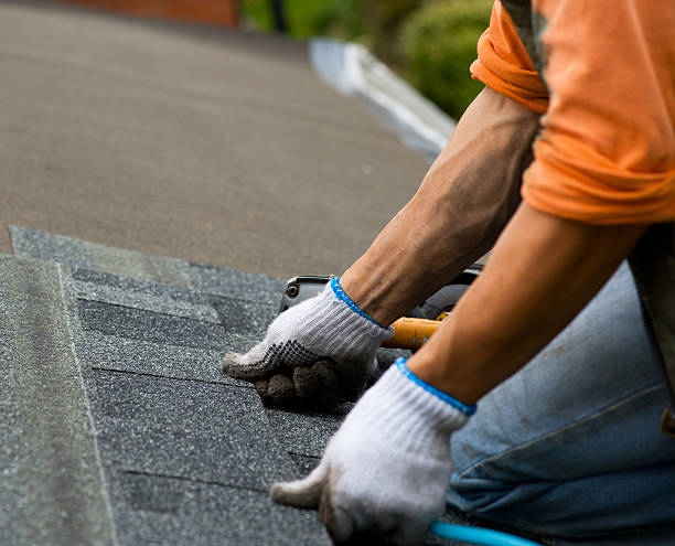 Best Flat Roof Repair Services  in Urbana, IA